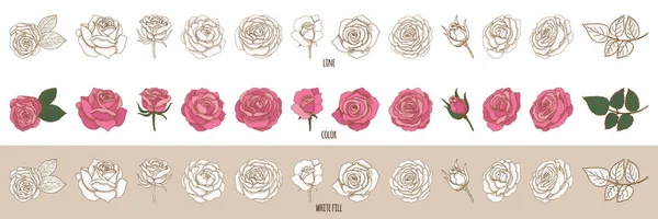 Conjunto de vetor rosas desenhadas à mão vintage. Esboço floral em retro s — Vetor de Stock