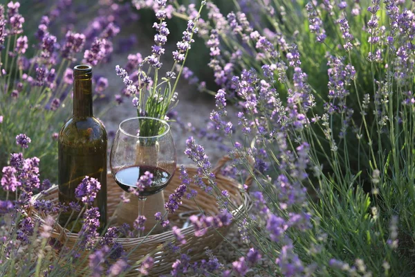 Bottiglia di vino rosso. — Foto Stock