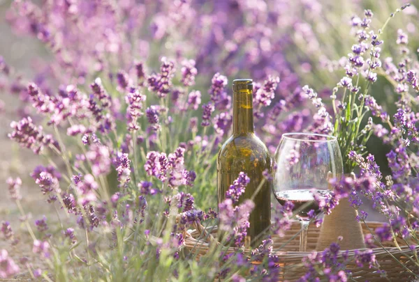 Bottiglia di vino contro il paesaggio lavanda . — Foto Stock