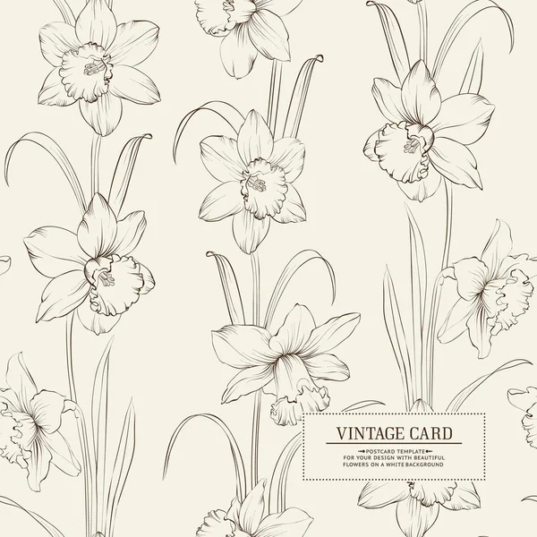 Illustrazione botanica del narciso . — Vettoriale Stock