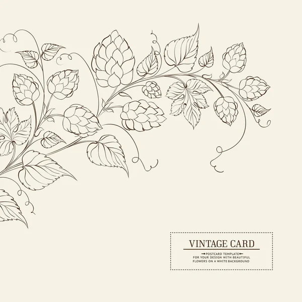 Botanische hop label. — Stockvector