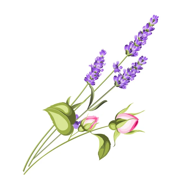 Etikett mit Lavendel. — Stockvektor