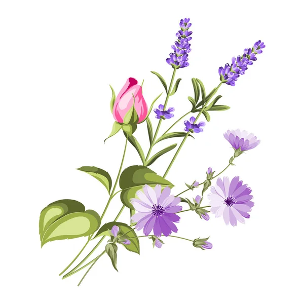 Etikett mit Lavendel. — Stockvektor