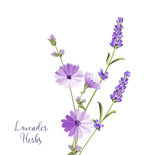 Label with lavender. — Stock Vector