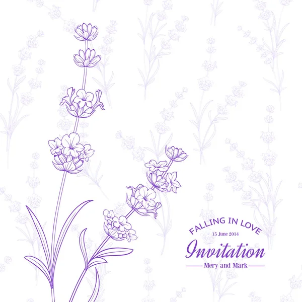 Ramo de flores de lavanda. — Vector de stock