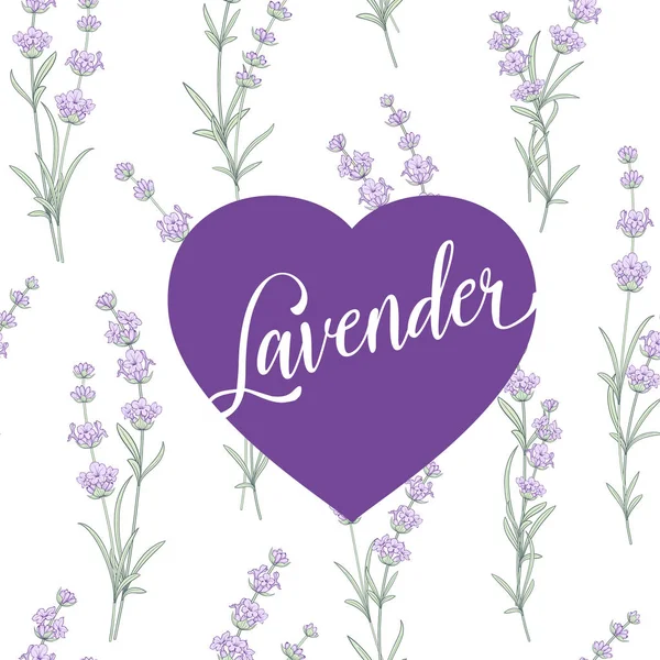 Label van lavendel over patroon. — Stockvector