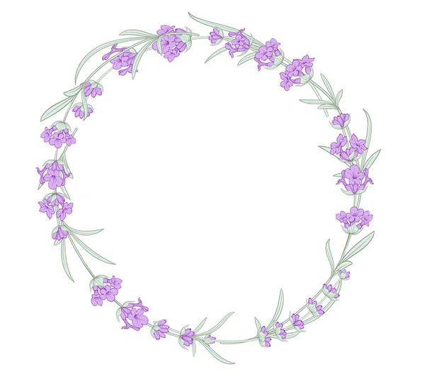 Lavender wreath for your text presentation. — Stock Vector