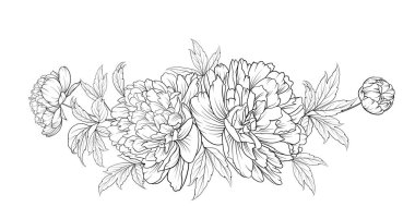Peonies ink background. clipart
