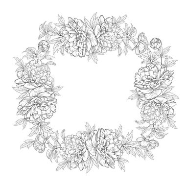 Kare şakayık çiçekleri.