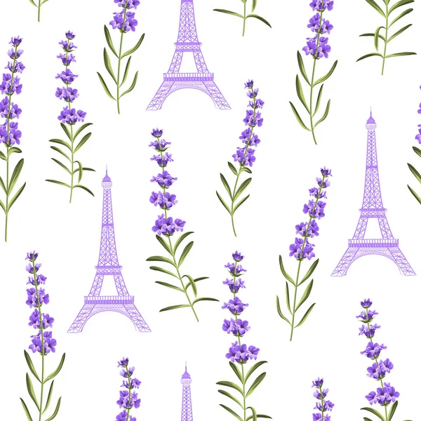 Pattern with violet lavender flowers. — Stock Vector