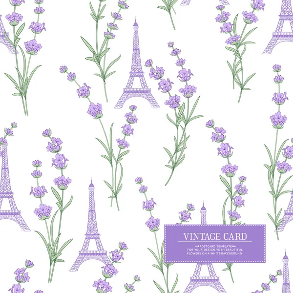 Tarjeta de recuerdo con flores de lavanda . — Archivo Imágenes Vectoriales