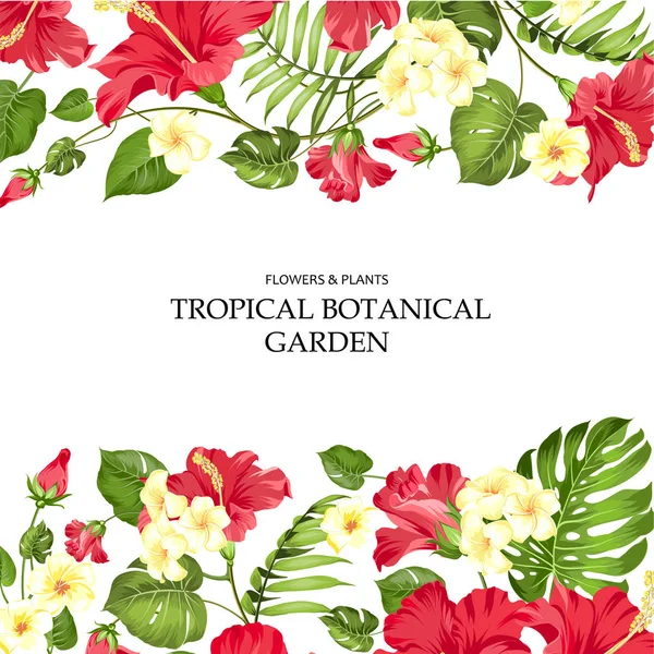 Carte vacances d'été. Fleurs tropicales de plumeria et hibiscus sur l'étiquette. Branches de palmiers tropicaux avec texte . — Image vectorielle