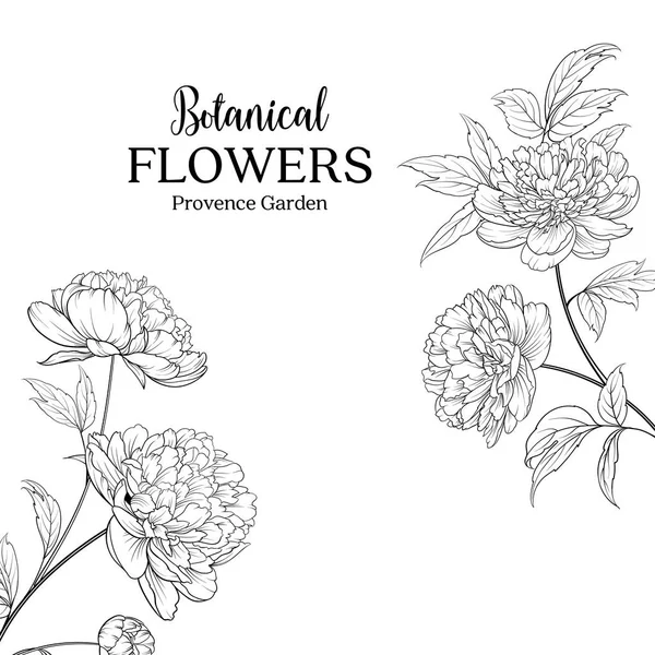 Botanische bloemen garland. — Stockvector