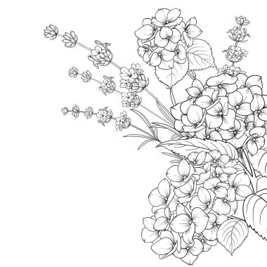 Lavanta ve beyaz arka plan üzerinde izole ortanca çiçek çelenk. Bahar buket çiçek hattı kroki tarzı. Vektör çizim