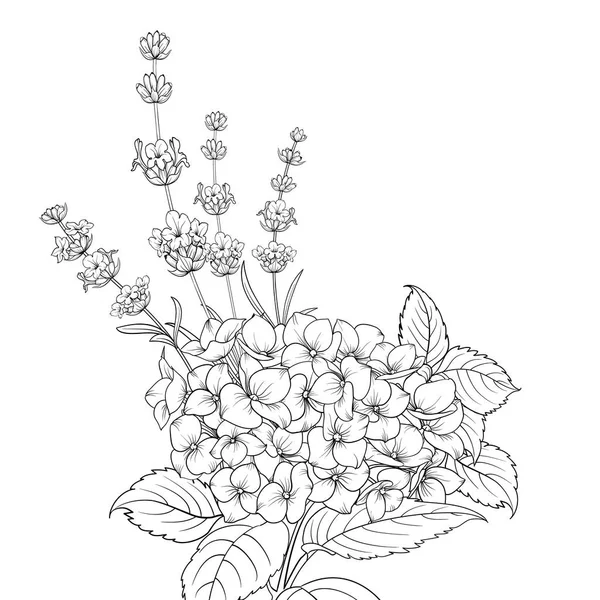 Lavanta ve beyaz arka plan üzerinde izole ortanca çiçek çelenk. — Stok Vektör