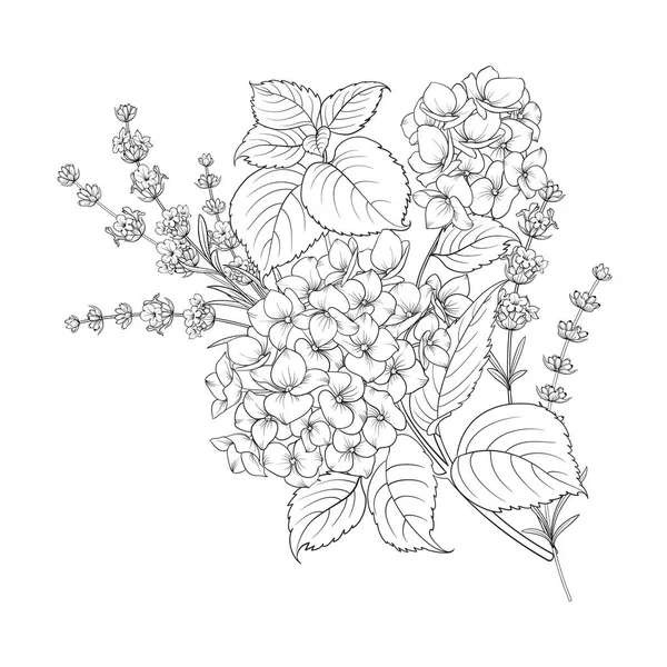 Desenho floral de lavanda e hortênsia isolada sobre fundo branco . —  Vetores de Stock