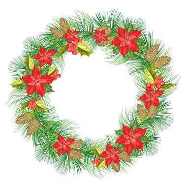 Beyaz arka plan üzerinde izole kırmızı Atatürk çiçeği çiçek bileşimi.