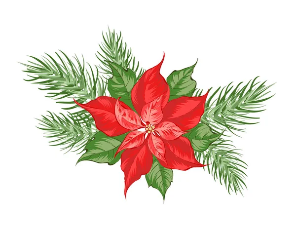 Composition of red poinsettia flower isolated over white background. — Stock Vector