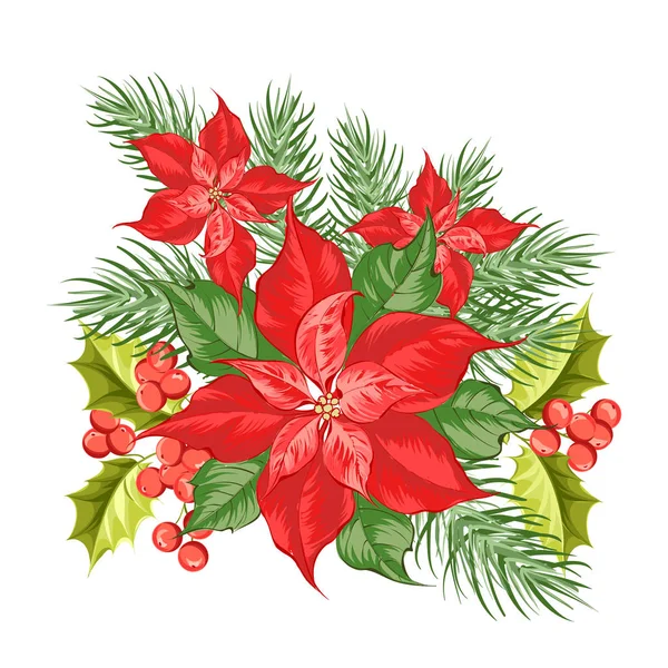 Composition of red poinsettia flower isolated over white background. — Stock Vector