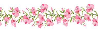 Güzel alstroemeria.