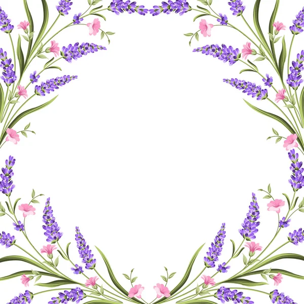 Elegante carta con fiori di lavanda . — Vettoriale Stock