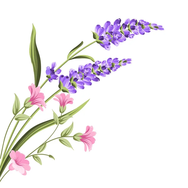 Elegantní karta s levandulovými květy. — Stockový vektor