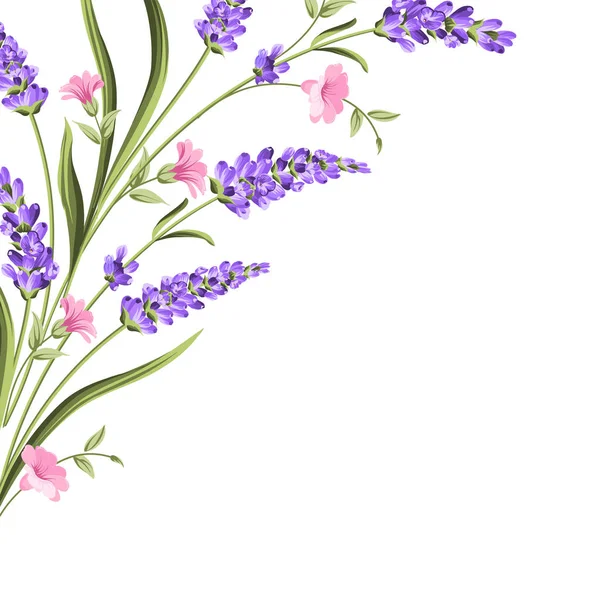 Elegante carta con fiori di lavanda . — Vettoriale Stock