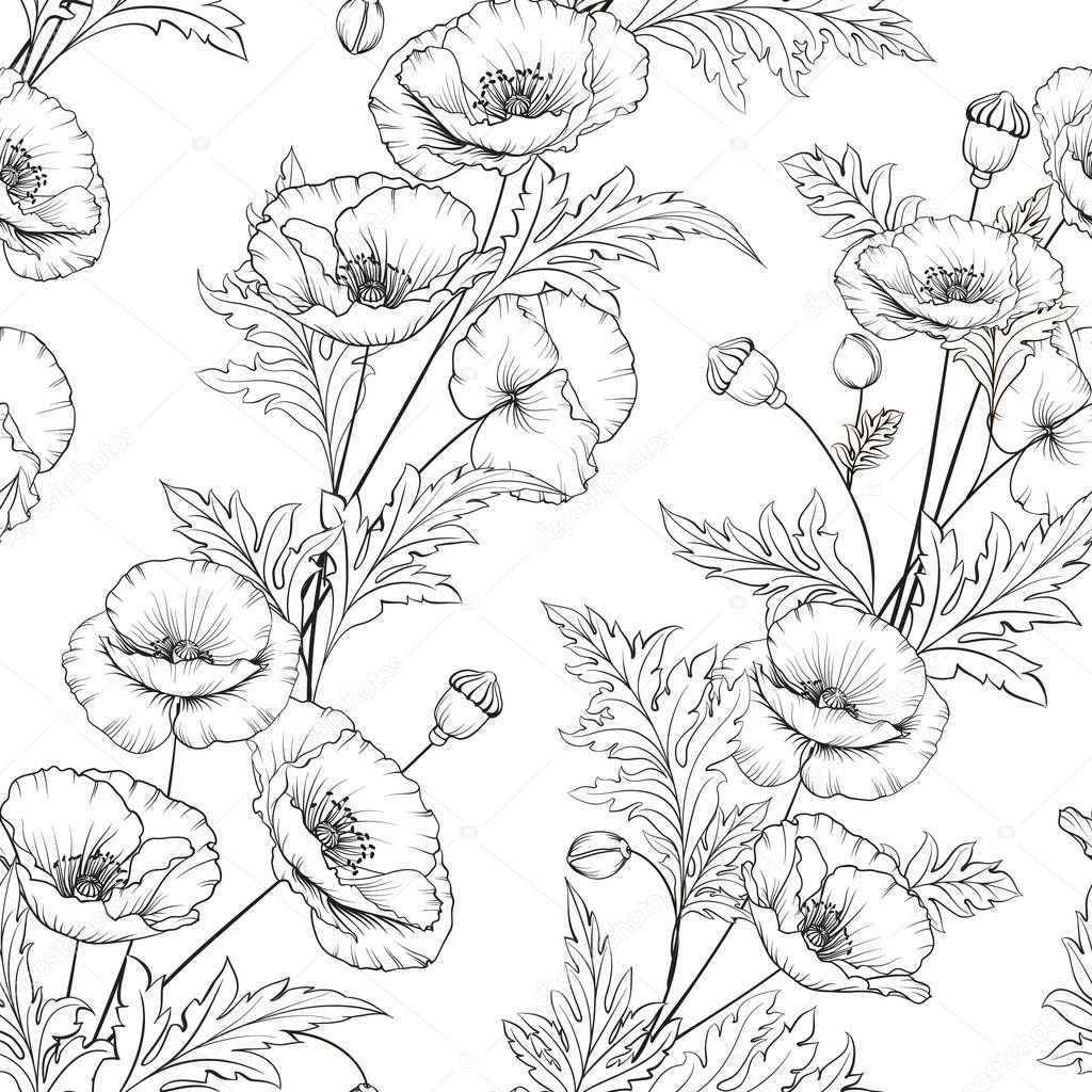 Pattern of poppy flowers on a white background.