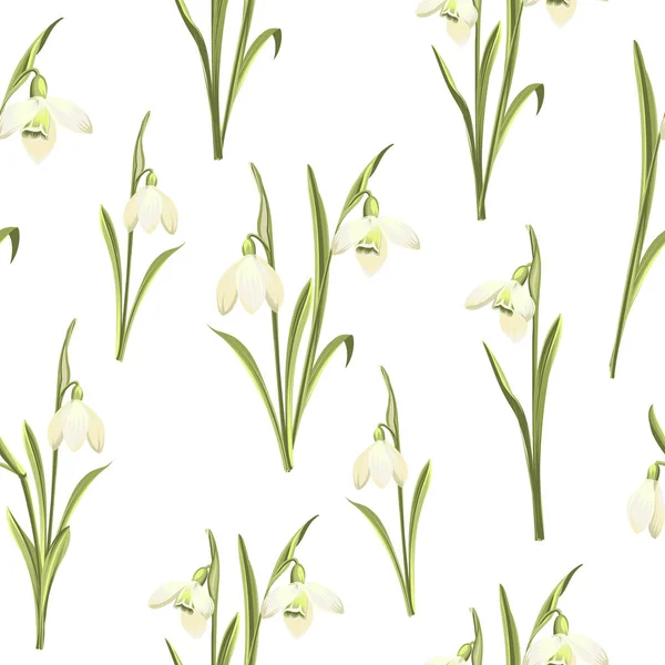 Patrón sin costura de primavera de flores de Galanthus . — Vector de stock