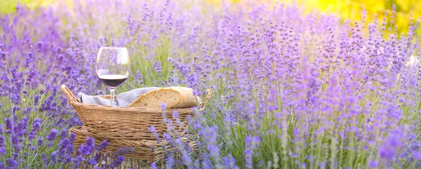 Wein gegen Lavendellandschaft im Sonnenuntergang. Ernte von aromatischem Lavendel. Ein Korb mit frischem Brot steht inmitten eines Lavendelfeldes — Stockfoto