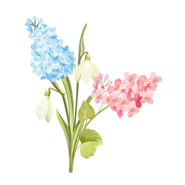 Purple Lilac flowers of syringa and white galanthus (en inglés). Ilustración botánica para ramo de primavera. Tarjeta conceptual de primavera con flores en flor aisladas sobre fondo blanco . — Vector de stock