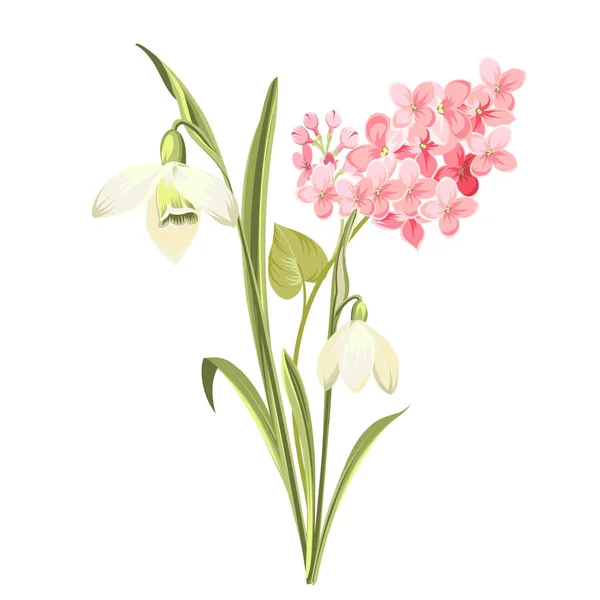 Purple Lilac flowers of syringa and white galanthus. Botanical illustration for spring bouquet. Spring time concept card with blooming flowers isolated over white background. — Stock Vector