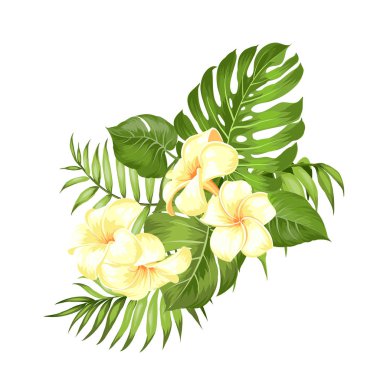 Plumeria çiçekler ile etiketleyin. Aromatik tropik çiçekler buket. Davetiye kartı şablonu ile alstroemeria renk çiçekleri.