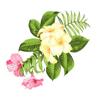 Plumeria çiçekler ile etiketleyin. Aromatik tropik çiçekler buket. Davetiye kartı şablonu ile alstroemeria renk çiçekleri.