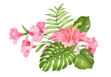 Tropikal çiçek çelenk kartı tasarımınız için. Plumeria çiçekler ile etiketleyin. Davetiye kartı şablonu ile alstroemeria renk çiçekleri.