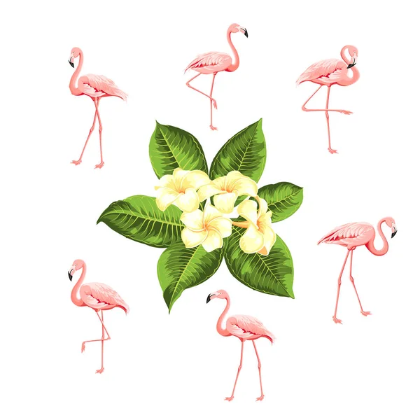Tropikal kuşlar ve çiçekler koleksiyonu. Pembe flamingolar ayarlandı. Plumeria çiçek kiti. Moda yaz baskı paketi. Davet kartı ve şablon tasarımınız için öğeler. — Stok Vektör