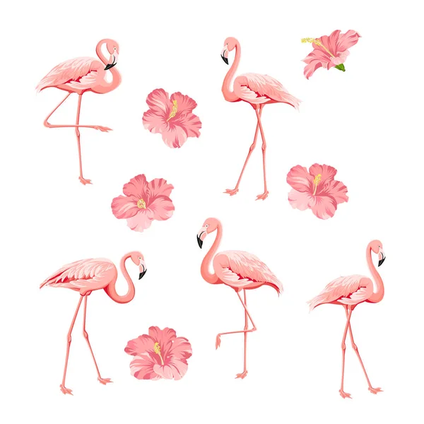 Tropiska fåglar och blommor samling. Rosa flamingos set. Hibiskus blommor kit. Fashion Tropic Bundle. Element för inbjudningskort och din malldesign. — Stock vektor