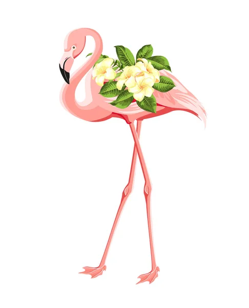 Flamingo kuş ve plumeria çiçeklerbeyaz arka plan üzerinde izole. Tropikal kuşlar ve çiçekler illüstrasyon. Sarma, kumaş, davet kartı ve şablon tasarımı için moda yaz baskı — Stok Vektör