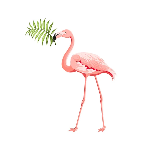 Imagem tropical bonita com flamingo rosa e flores plumeria em um fundo branco. Palmeira tropical exótica. Flamingo fundo e folha da selva em seu bico. O fundo natural —  Vetores de Stock