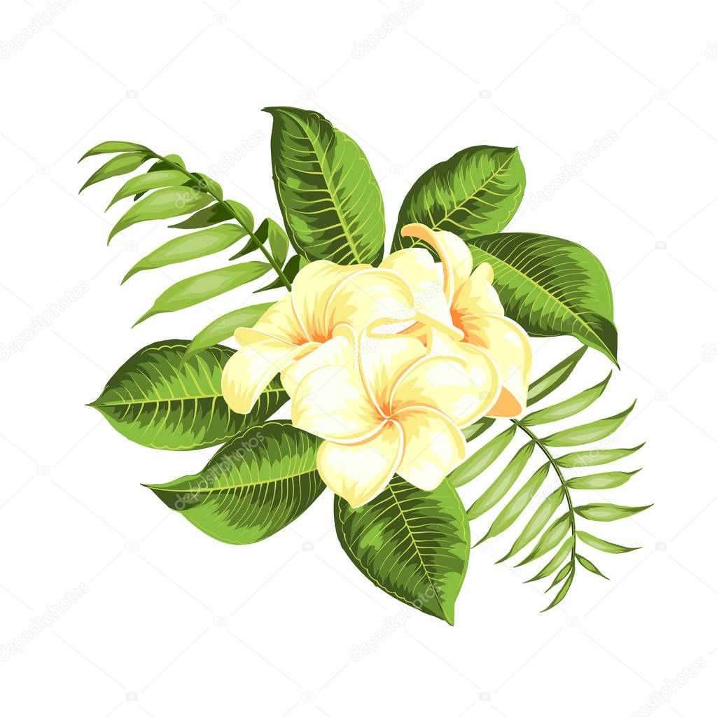 Tropical flower bouquet for your summer holidays card. Vector illustration. Blossom flowers for invitation card over white background.