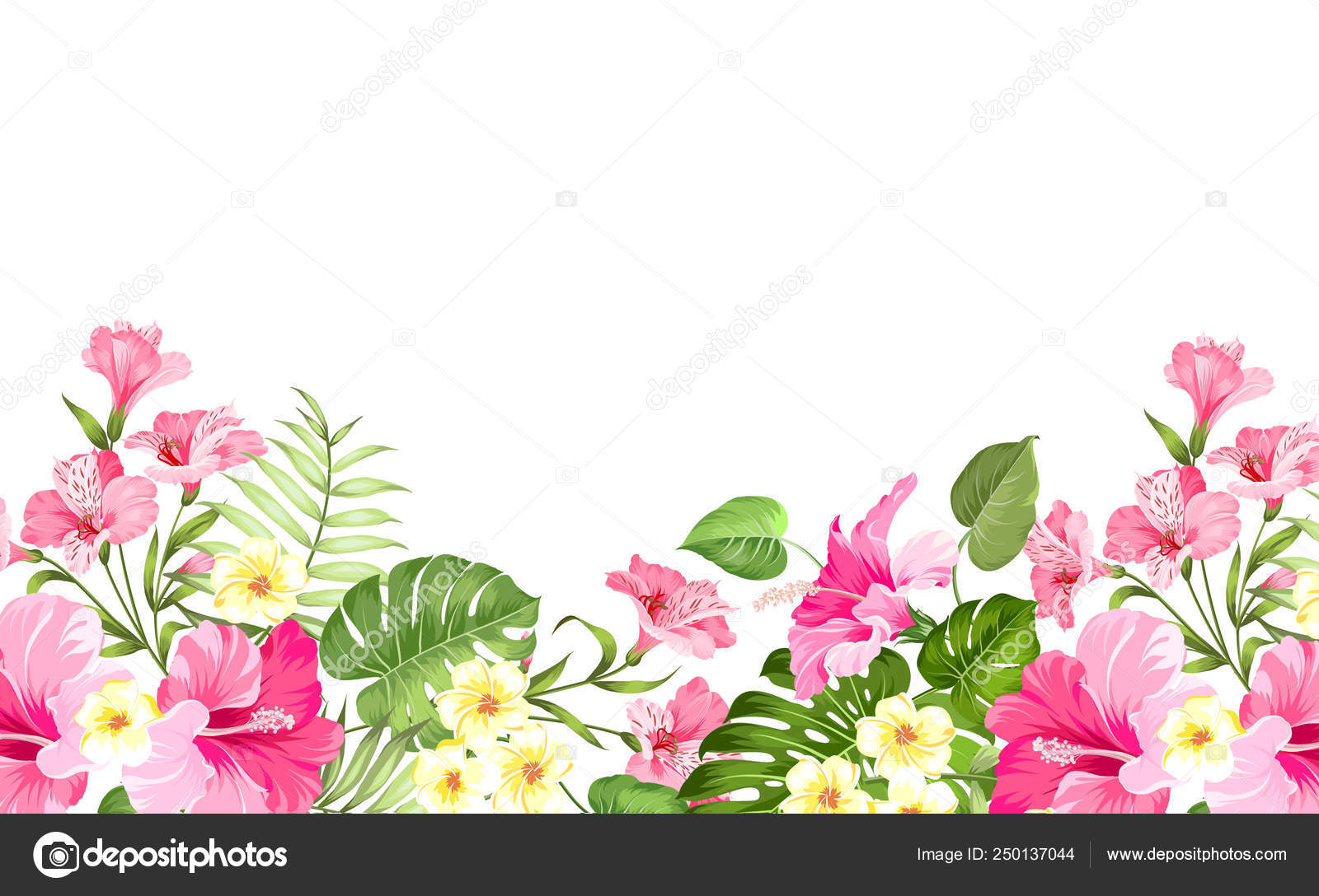 夏の休暇のカード プルメリアとハイビスカスのラベルでの熱帯の花