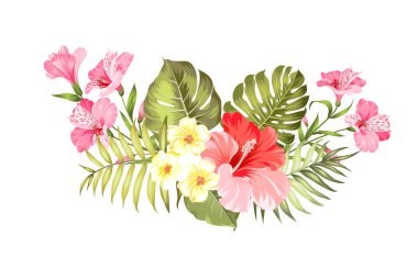 Tropikal çiçek çelenk kartı tasarımınız için. Plumeria çiçekler ile etiketleyin. Davetiye kartı şablonu ile alstroemeria renk çiçekleri.