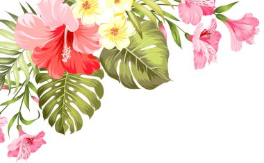 Çiçek cenneti. Yaz Illustration yeşil palmiye yaprakları ve çiçek açan çiçekler buket ile. Güzel tatil tasarım için beyaz arka plan üzerinde ayarlayın..
