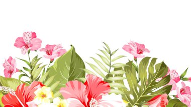 Yaz tatil kartı. Tropik çiçekler plumeria ve hibiscus adlı etiket. Tropikal hurma dalları ile görüntünün üstünde metin alanı.