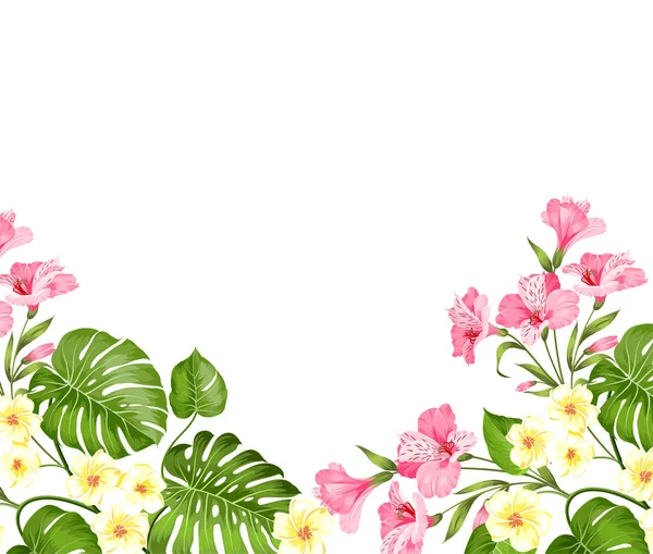 Sommar semester kort. Tropiska blommor av plumeria och hibiskus på etiketten. Tropiska palmkvistar med text utrymme på toppen av bilden. — Stock vektor