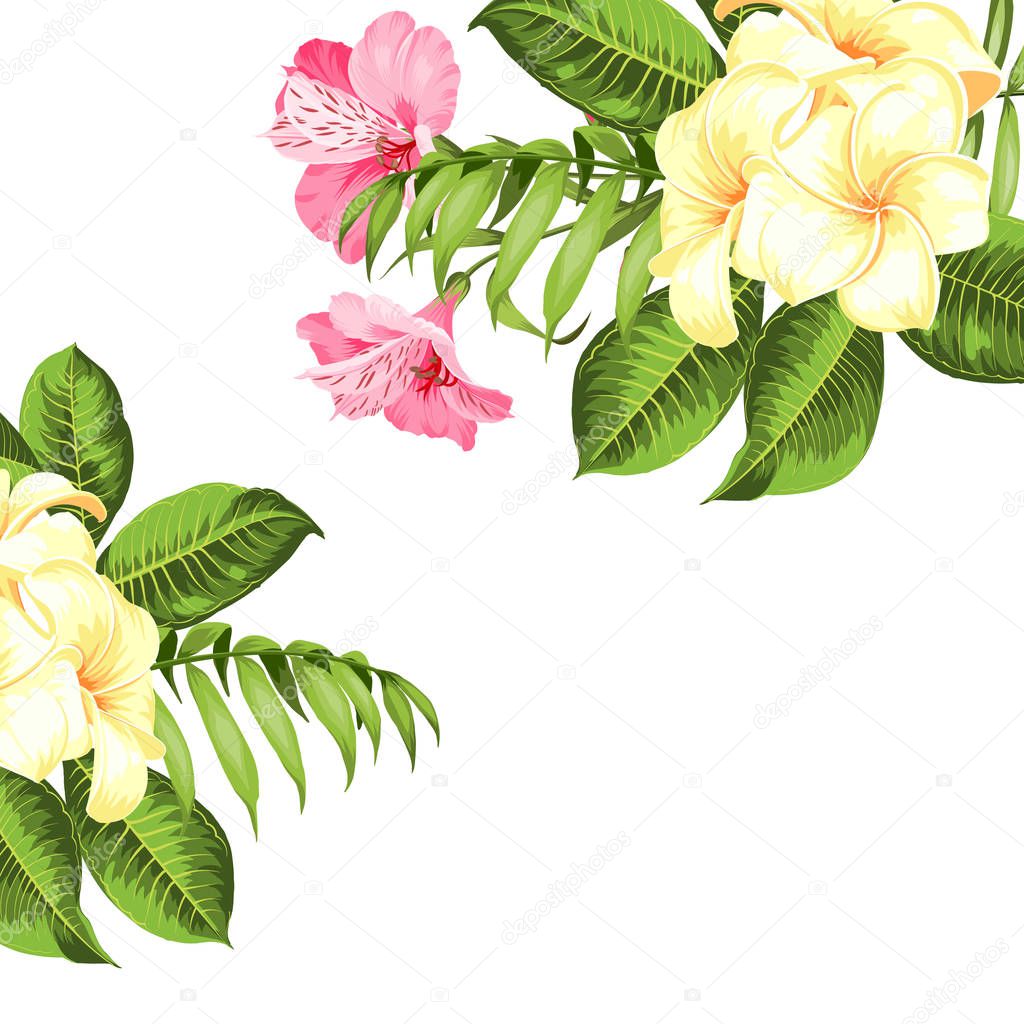 Flower hibiscus tropical plant. Summer holiday invitation card with floral garland with text place. Tropical plumeria garland. Blossom flowers for invitation card.