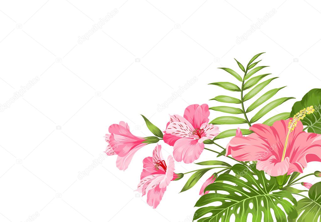 Tropical flower garland isolated over white background. Bouquet of aromatic tropical flowers. Invitation card template with color flowers of alstroemeria.