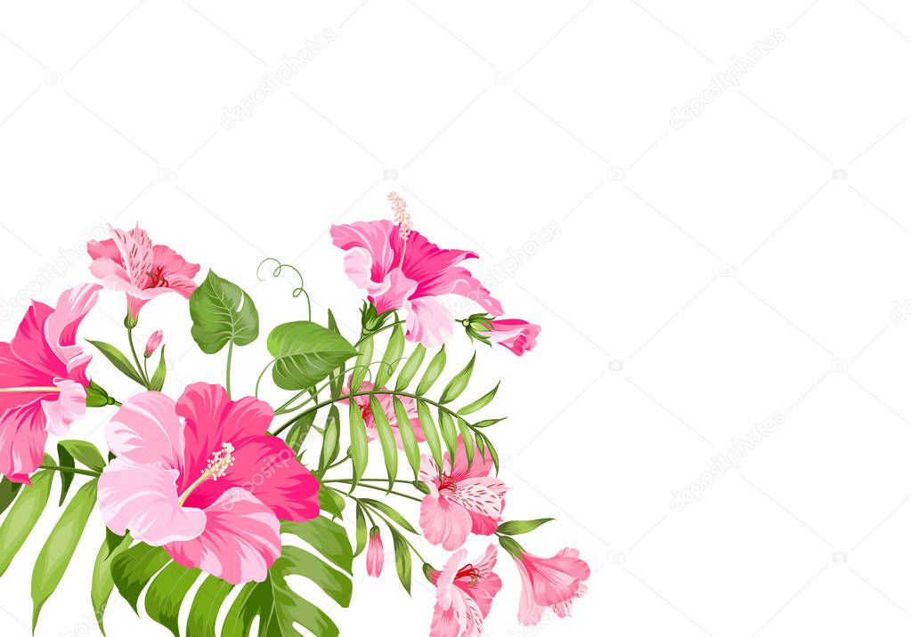 Tropical flower garland isolated over white background. Bouquet of aromatic tropical flowers. Invitation card template with color flowers of alstroemeria.