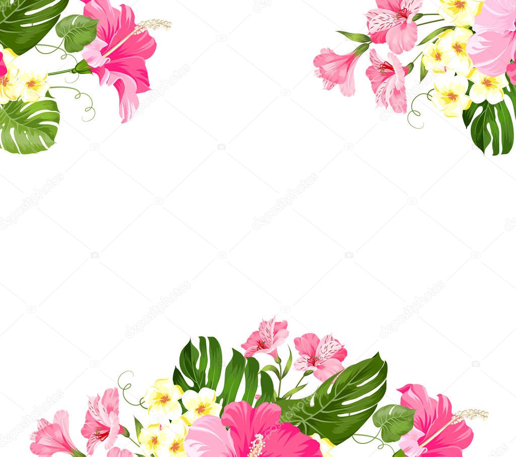 Tropical flower garland for your card design. Label with plumeria flowers. Invitation card template with color flowers of alstroemeria.