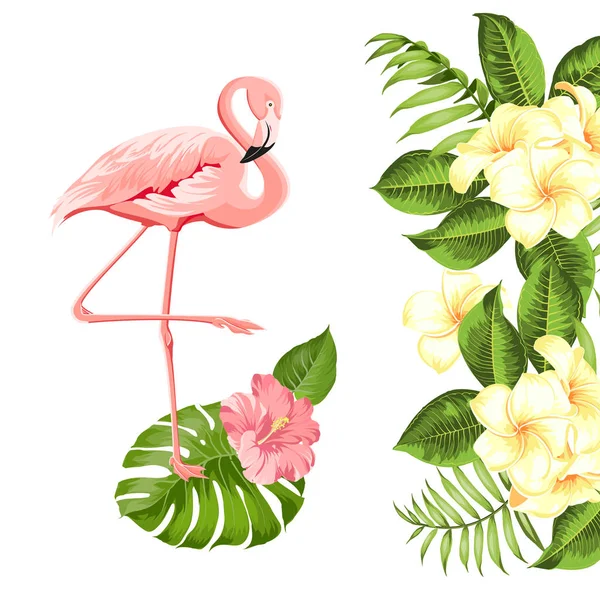 Květinové exotické přírodní dekorace. Safary letní pozadí s tropické listy silueta, rozkvetlých květů plumeria a plameňáků ptáků. — Stockový vektor